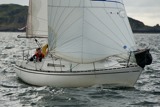 hot toddy 3199y whw10 sun rmc 4889